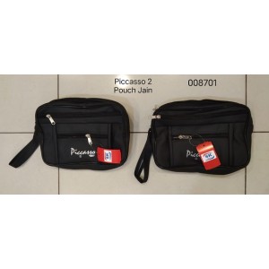 Piccasso 2 Pouch CT