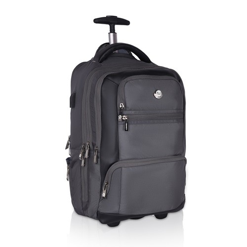 Laptop Wheeler & Backpack Strolly